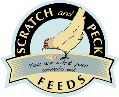 Scratch & Peck Organic Turkey Grower (CLEARANCE)