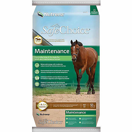 SafeChoice Maintenance Equine