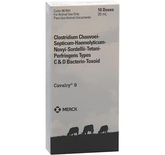 Cavalry 9 20ml 10 Dose (SPECIAL ORDER)