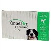 Capstar Large Dog 26-125#