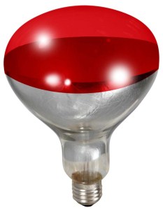 Red Heat Lamp Bulb