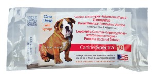 Canine Spectra 10