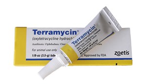 Terramycin Opthalmic Ointment