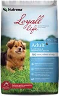 Loyall Life Adult Lamb & Rice Canine 20#