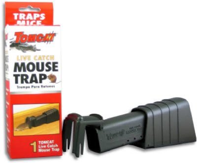 Live Catch Mouse Trap