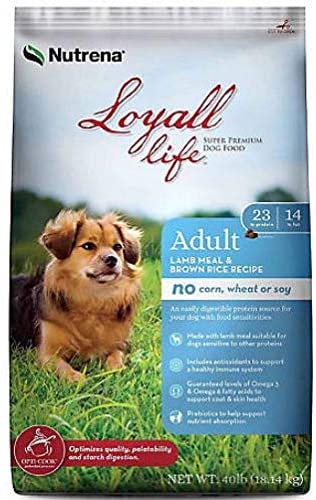 Loyall Life Adult Lamb & Rice Canine 6#