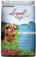 Loyall Life Adult Lamb & Rice Canine 6#