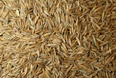 Play Area Grass Seed 5# (CLEARANCE)