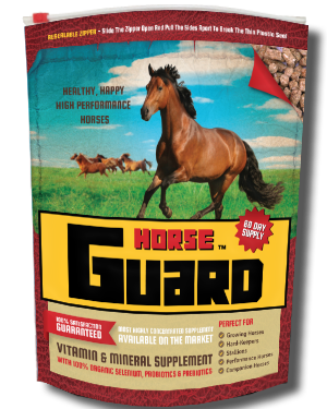 Horse Guard Gut Guard 10#