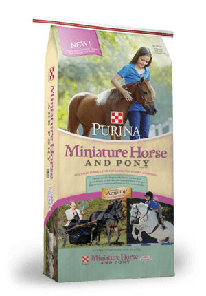 Mini Horse & Pony