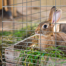 Welded Rabbit Gard Garden Fence (CLEARANCE)