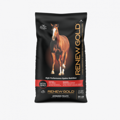 RENEW GOLD EQ FEED 30# (Special Order)