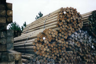 Treated Wood Posts (Round)