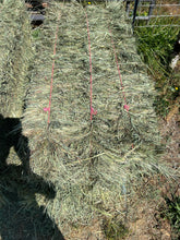 2022 Orchard Grass/Timothy Hay 3rd cutting