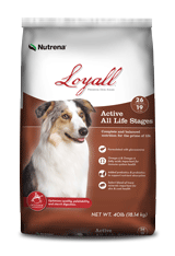 Loyall Life Active ALS