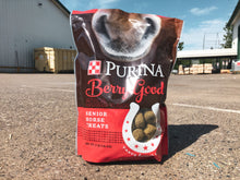 Berry Good Senior Horse Treats 3 lb