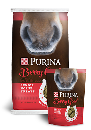 15# Berry Good Horse Treat