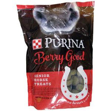 Berry Good Senior Horse Treats 3 lb