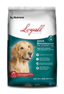 Loyall Life Adult Maintenance
