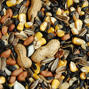 Squirrel & Wildlife Mix 20#